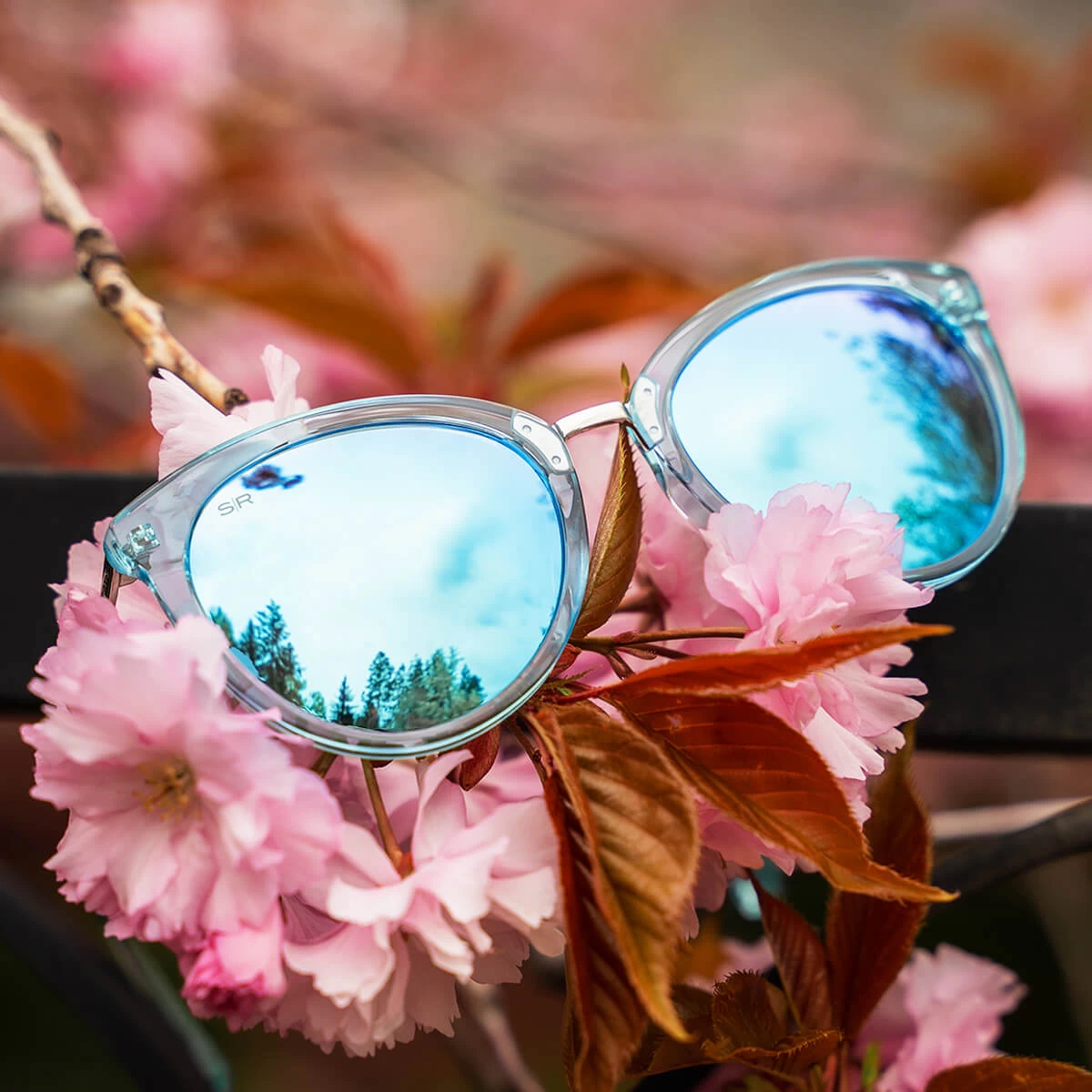 Lotus - Crystal Sky Polarized - Image 6