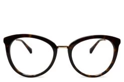 Lotus Rx - Sable Tortoise