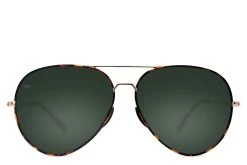 Tangle Free Aviator - Green Tortoise Polarized