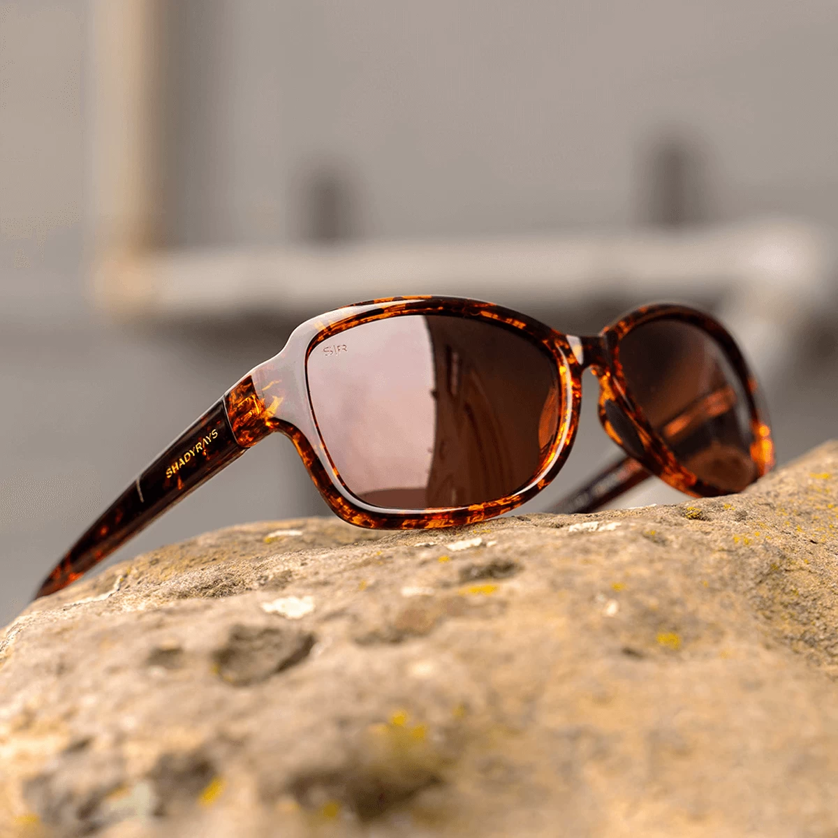 Magnolia - Amber Tortoise Polarized - Image 6