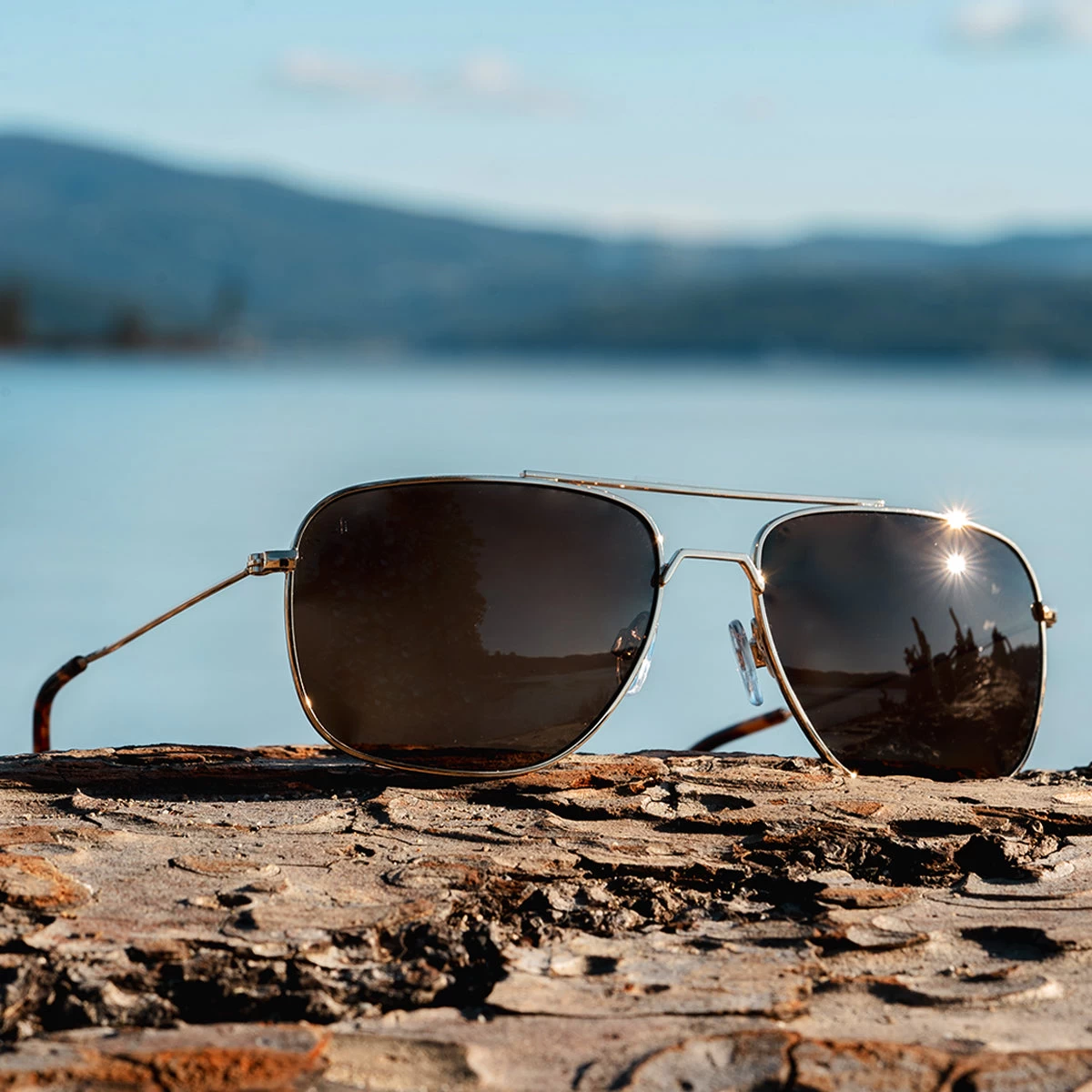 Navigator - Black Gold Polarized - Image 6