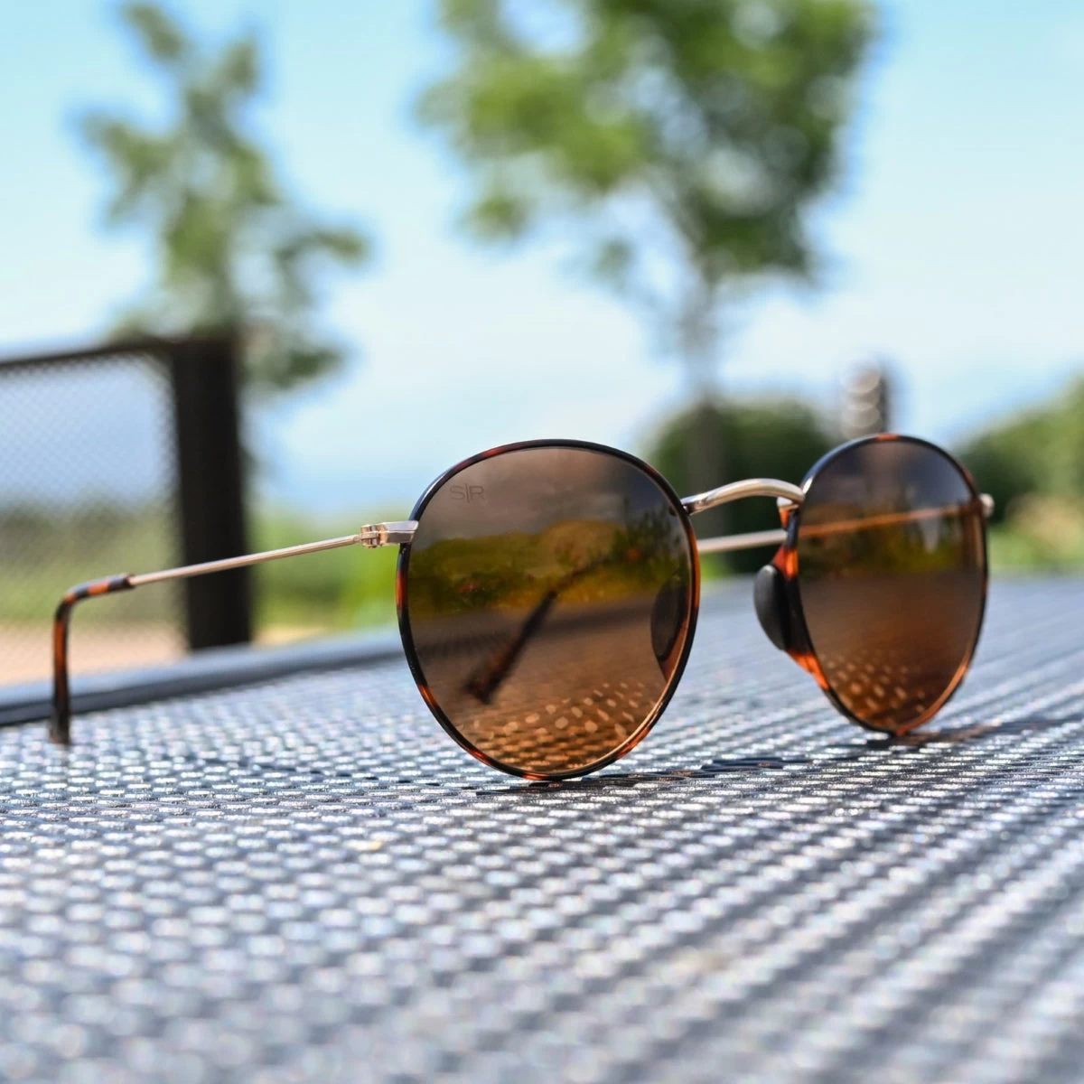 Tangle Free Aston - Amber Tortoise Polarized - Image 4